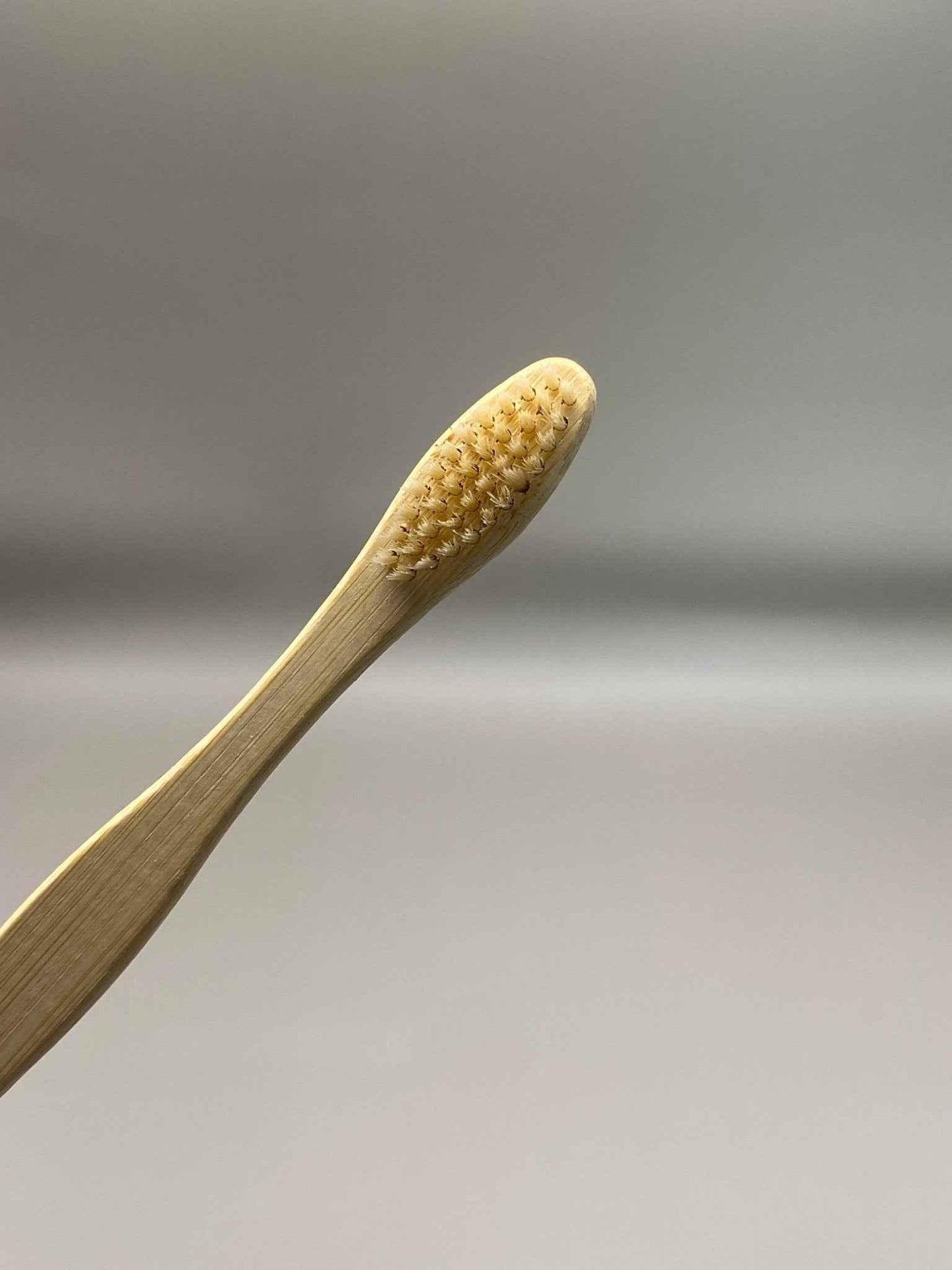 Brosse à dents biodégradable