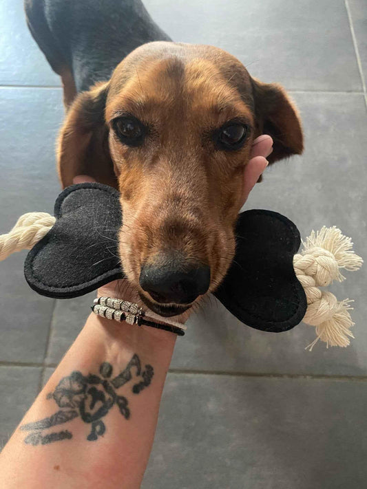 Jouet Chien en Lin Naturel – Os Résistant & Lavable Zéro Plastique