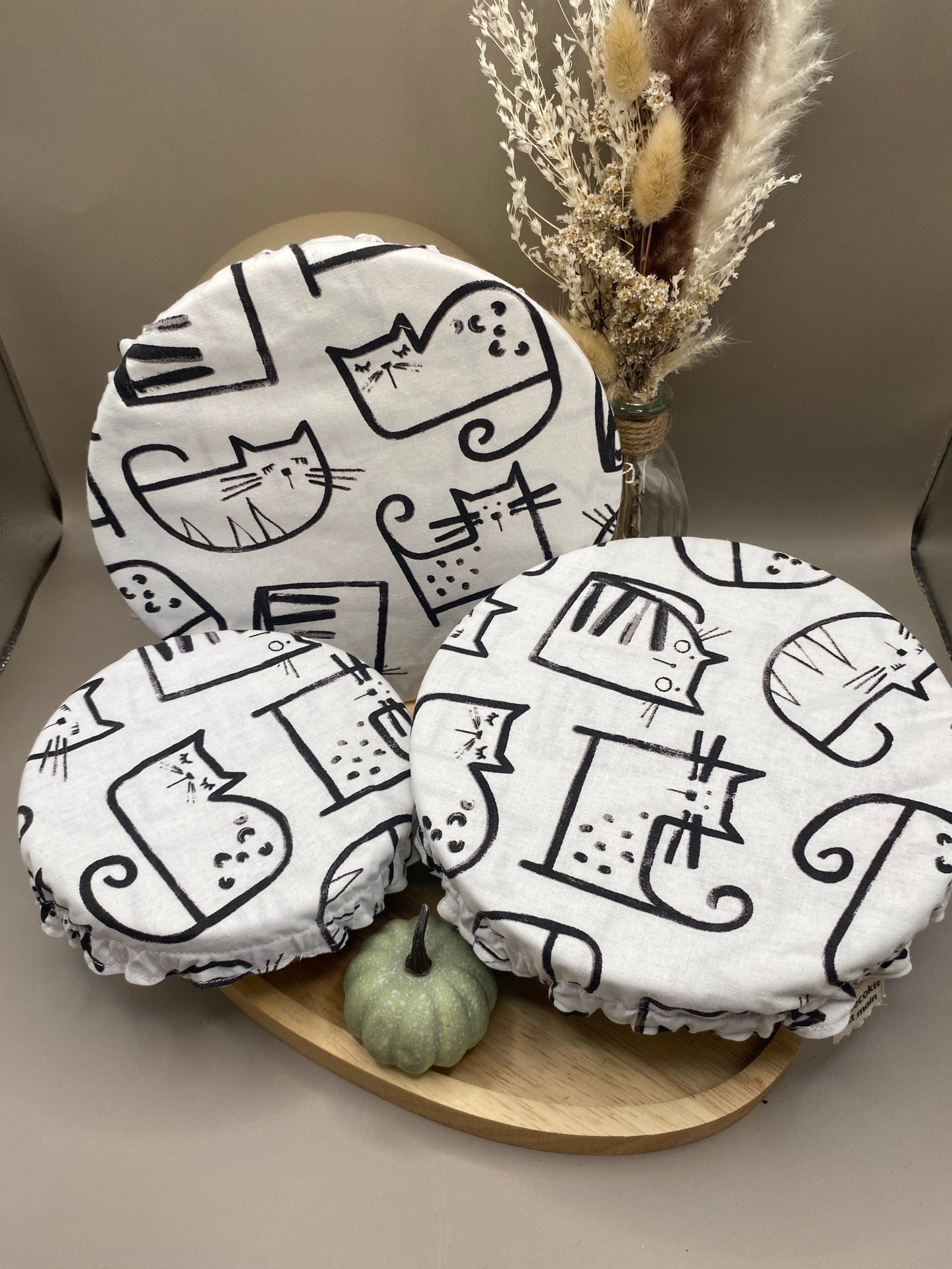 lot charlottes alimentaires chat