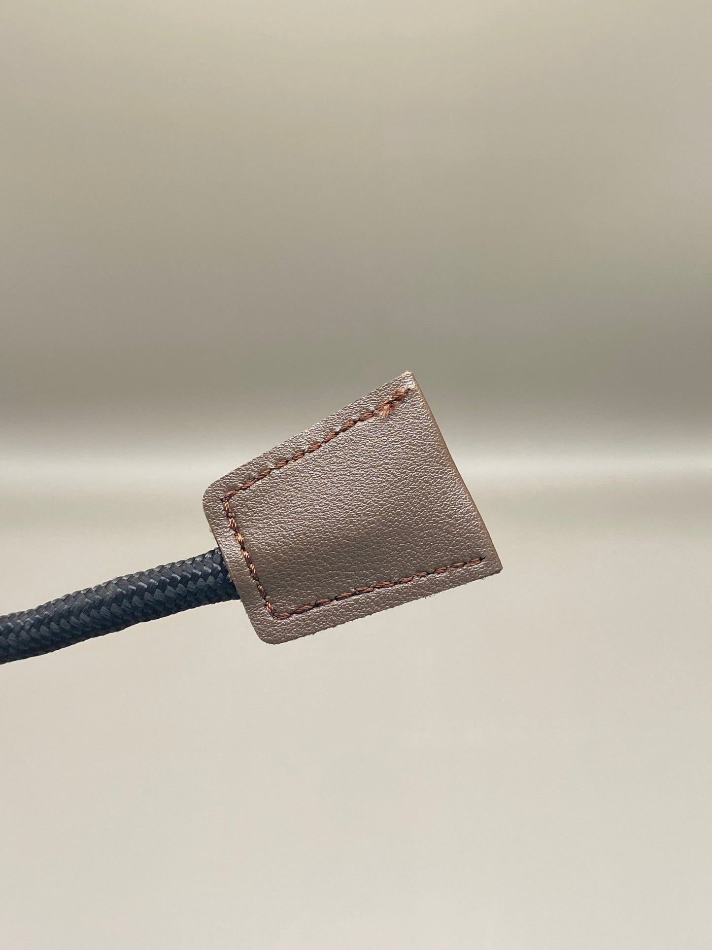 Harnais avec laisse intégrée pour chien sécurisé et confortable
