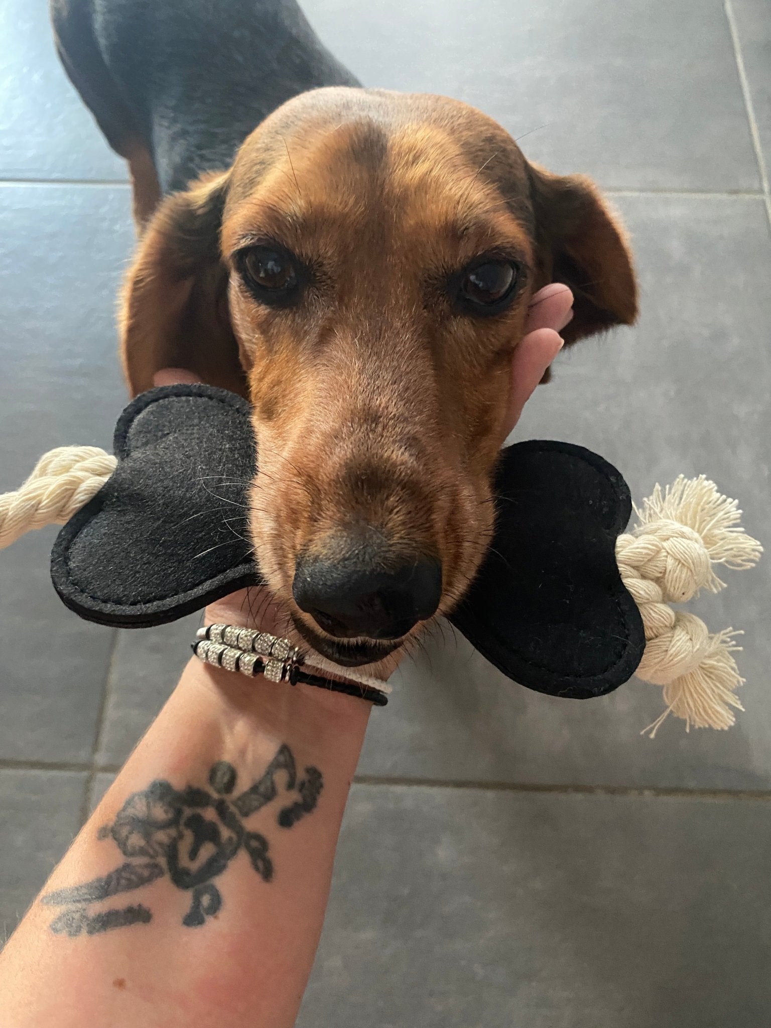 Jouet os en lin avec corde pour chien naturel et durable
