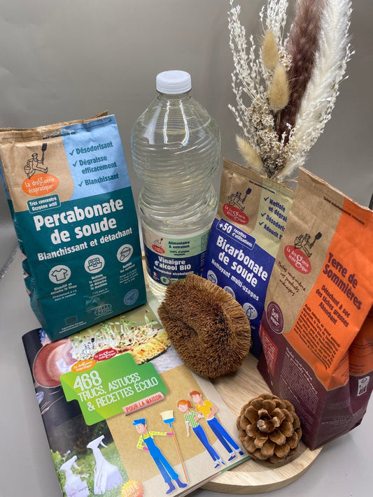 Kit produits d'entretien maison zéro déchet avec ingrédients naturels DIY
